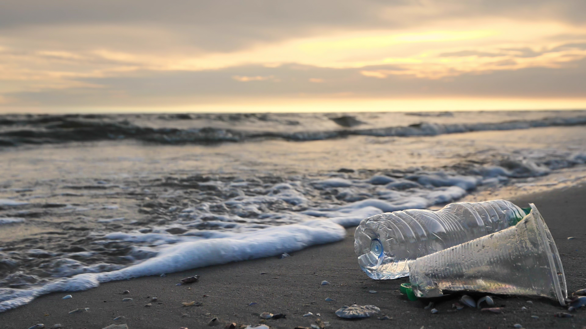 Keep The Sea Plastic Free